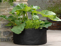 growbags